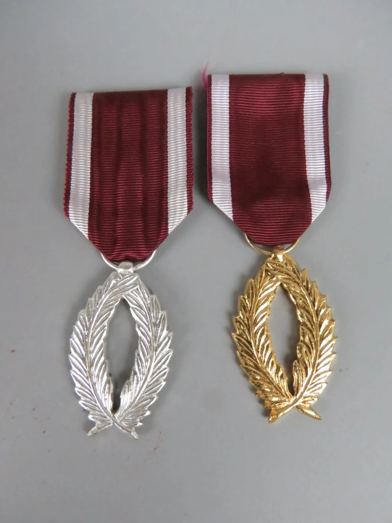 Set van 9 diverse militaire medailles en onderscheidingen - foto 2