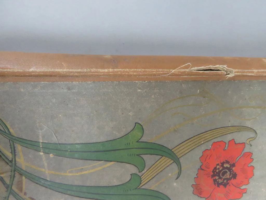 Oud fotoalbum met bloemenmotief - foto 5