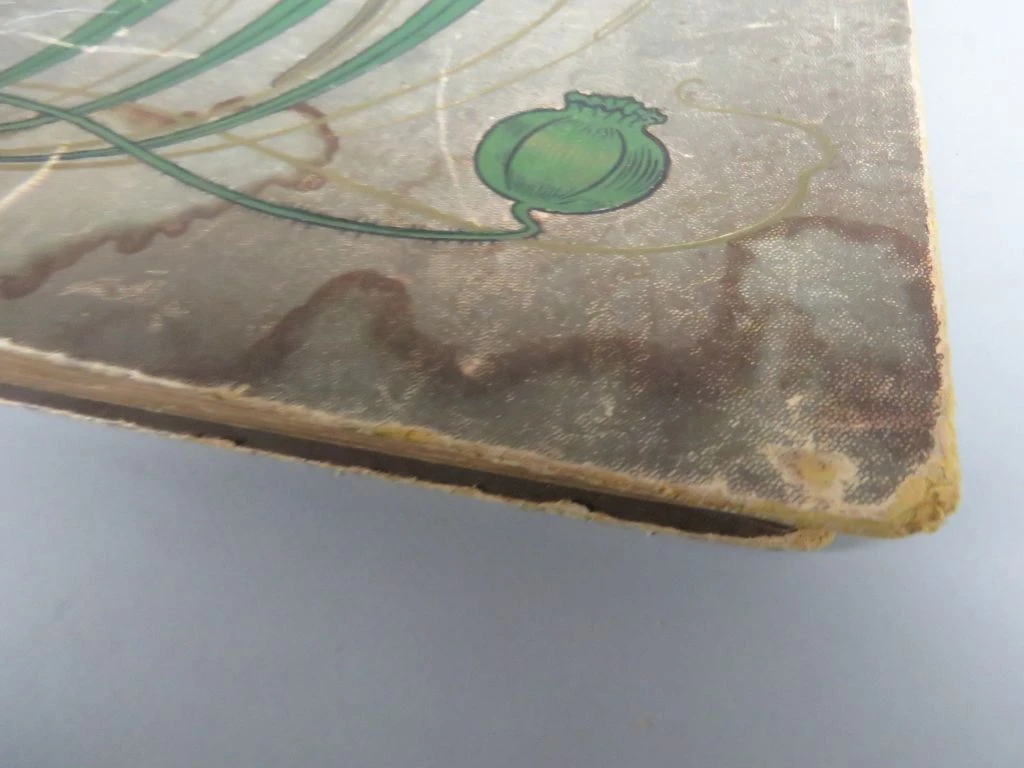 Oud fotoalbum met bloemenmotief - foto 6