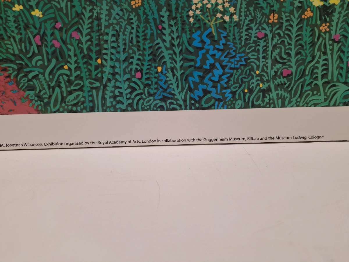 The Arrival of Spring in Woldgate - kunstprint op kunststof - David Hockney - foto 8