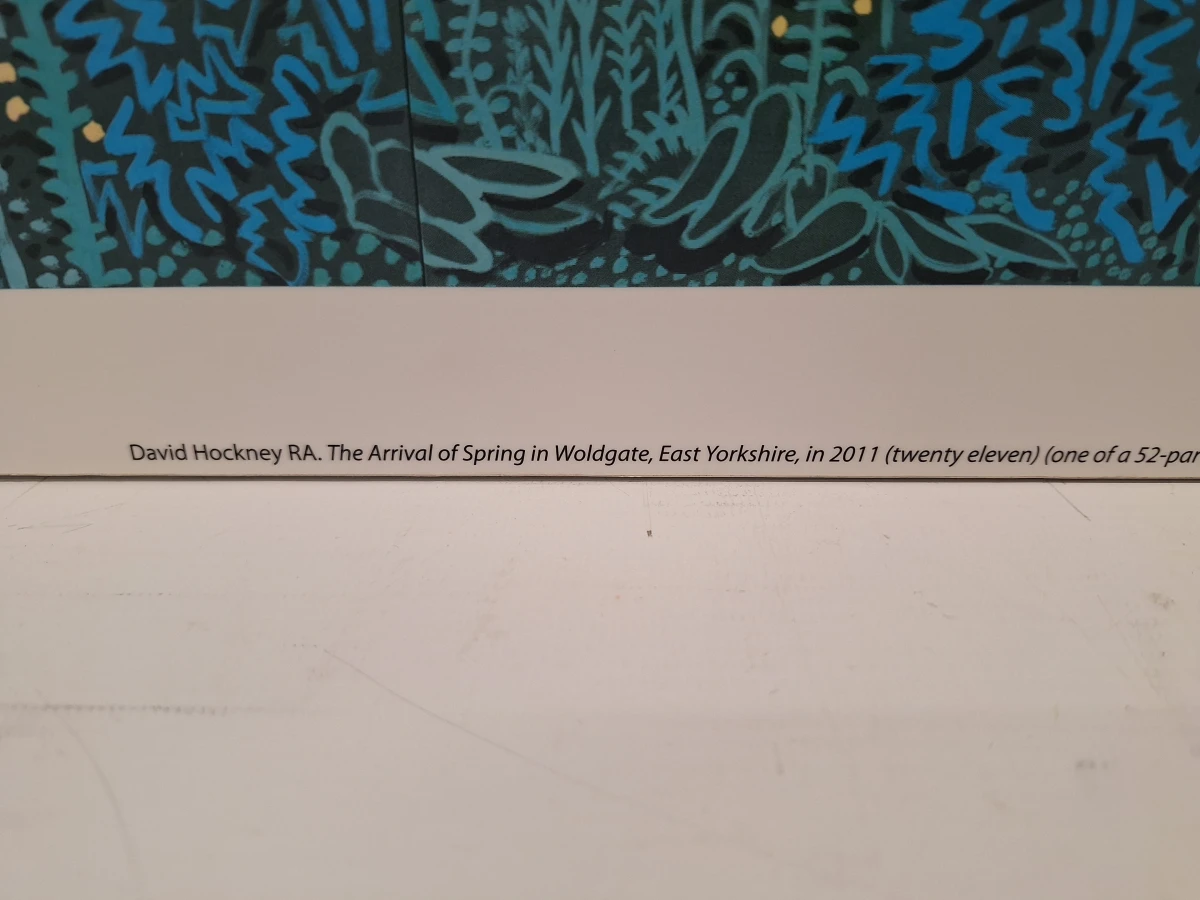 The Arrival of Spring in Woldgate - kunstprint op kunststof - David Hockney - foto 6