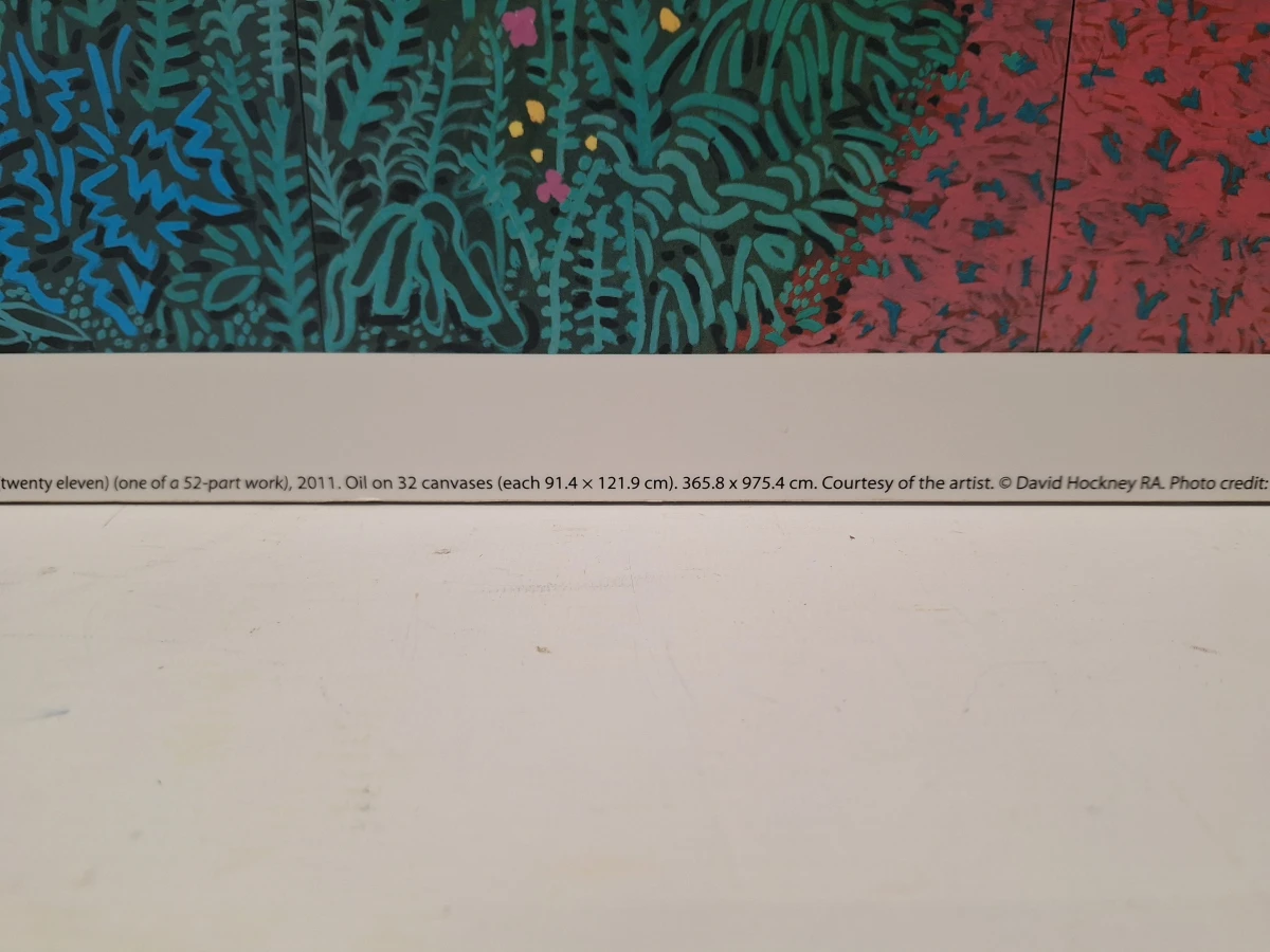 The Arrival of Spring in Woldgate - kunstprint op kunststof - David Hockney - foto 7