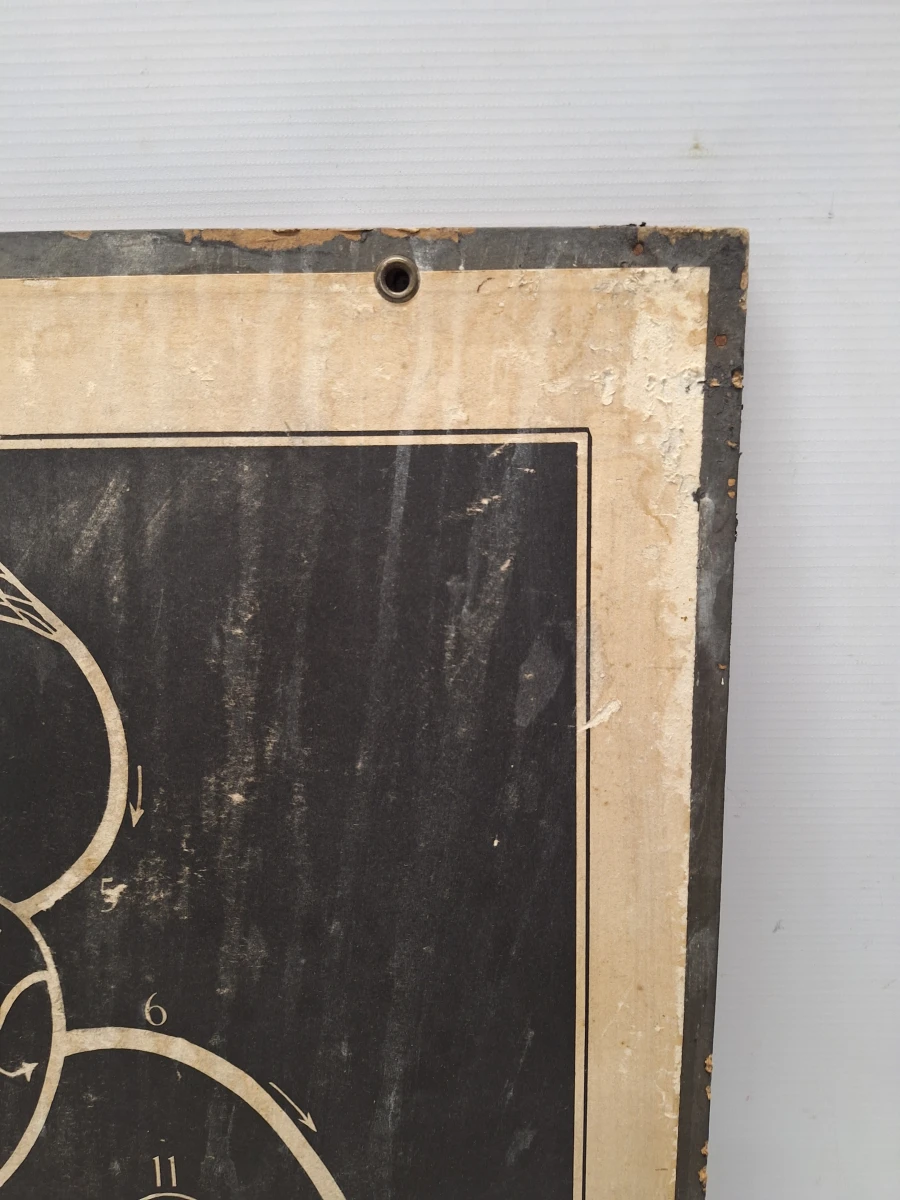 Set van 6 vintage anatomische schoolplaten - Jozef Van In & Co., Lier - foto 11
