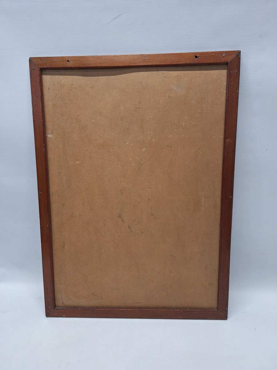 Set van 6 vintage anatomische schoolplaten - Jozef Van In & Co., Lier - foto 12