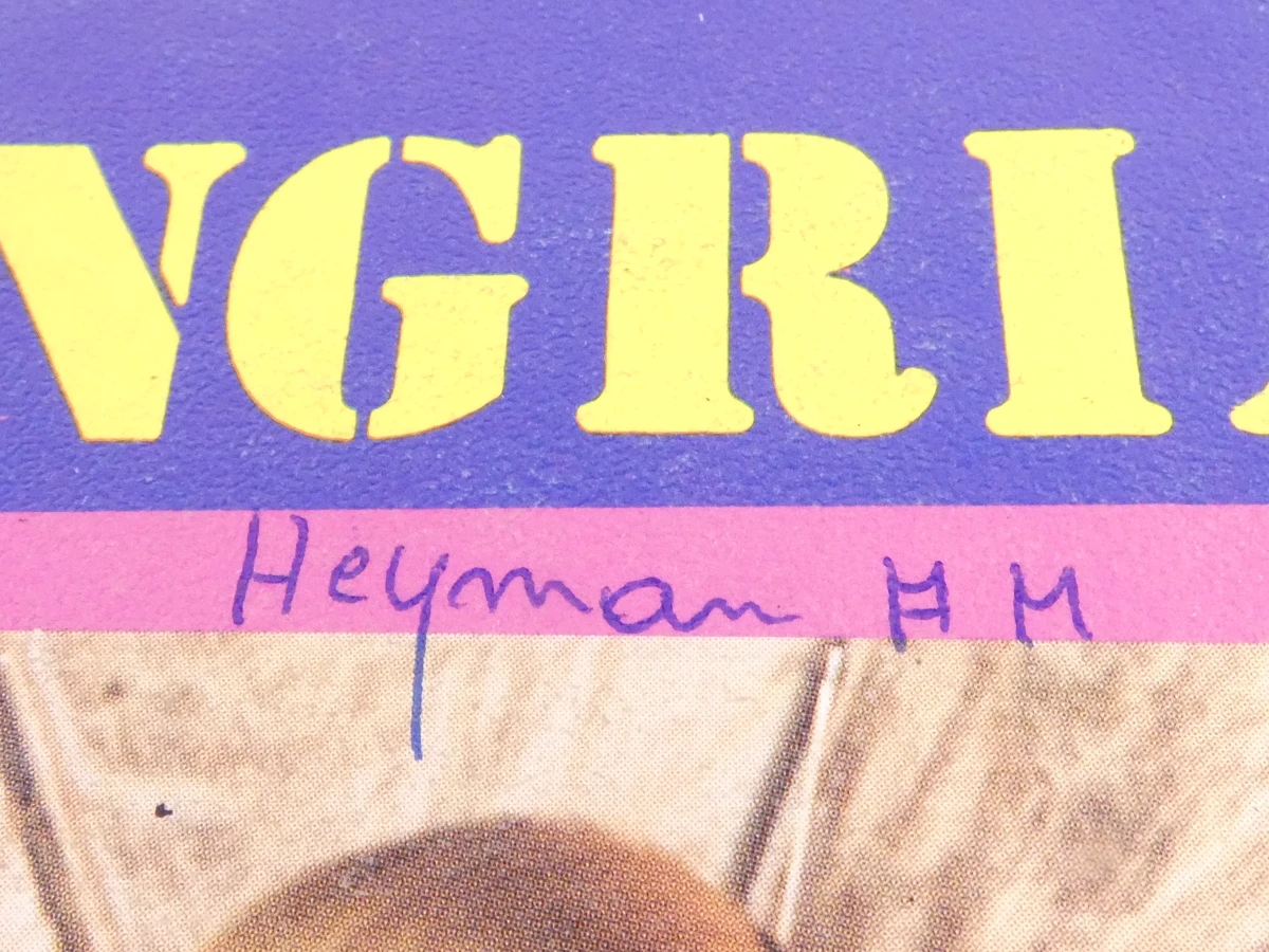 21 Vinyl Singles - Levenslied - Schlager - foto 3