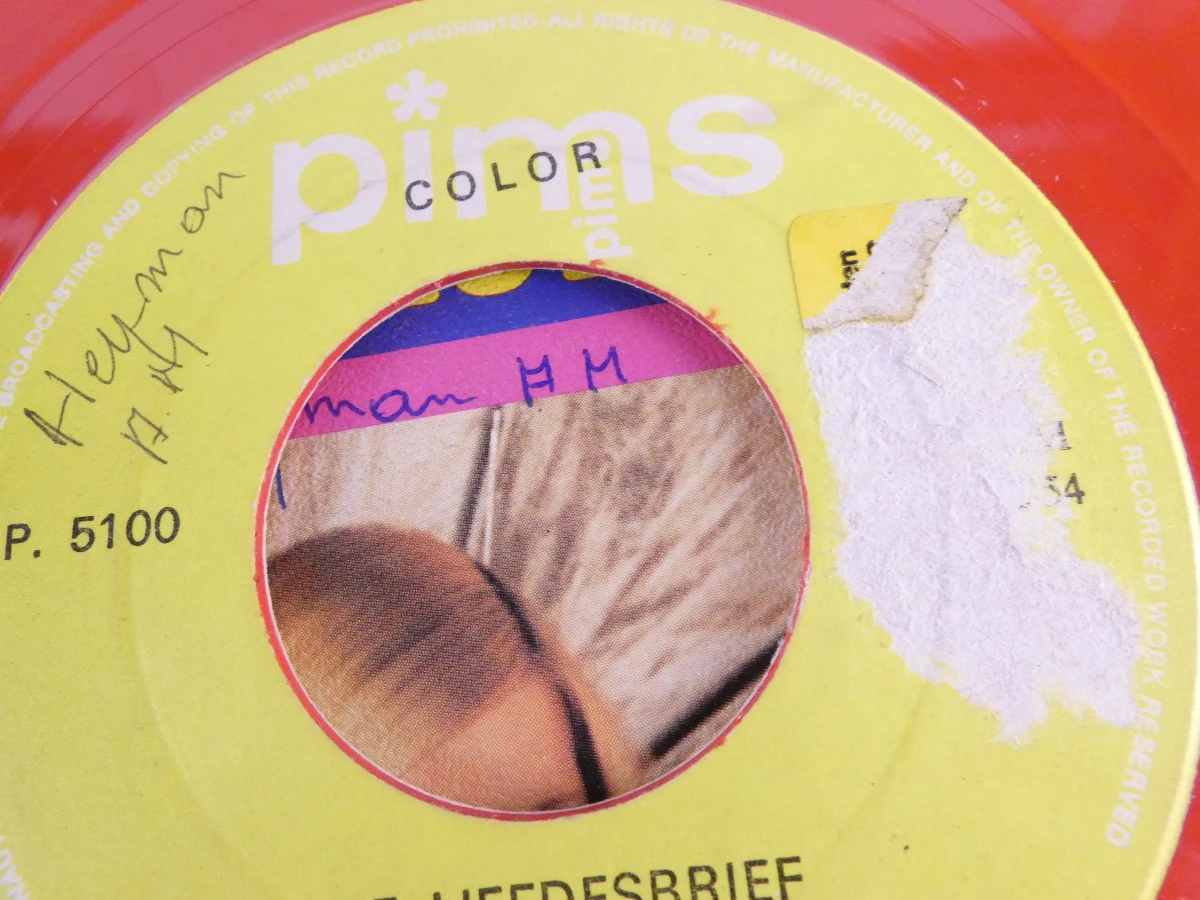 21 Vinyl Singles - Levenslied - Schlager - foto 9