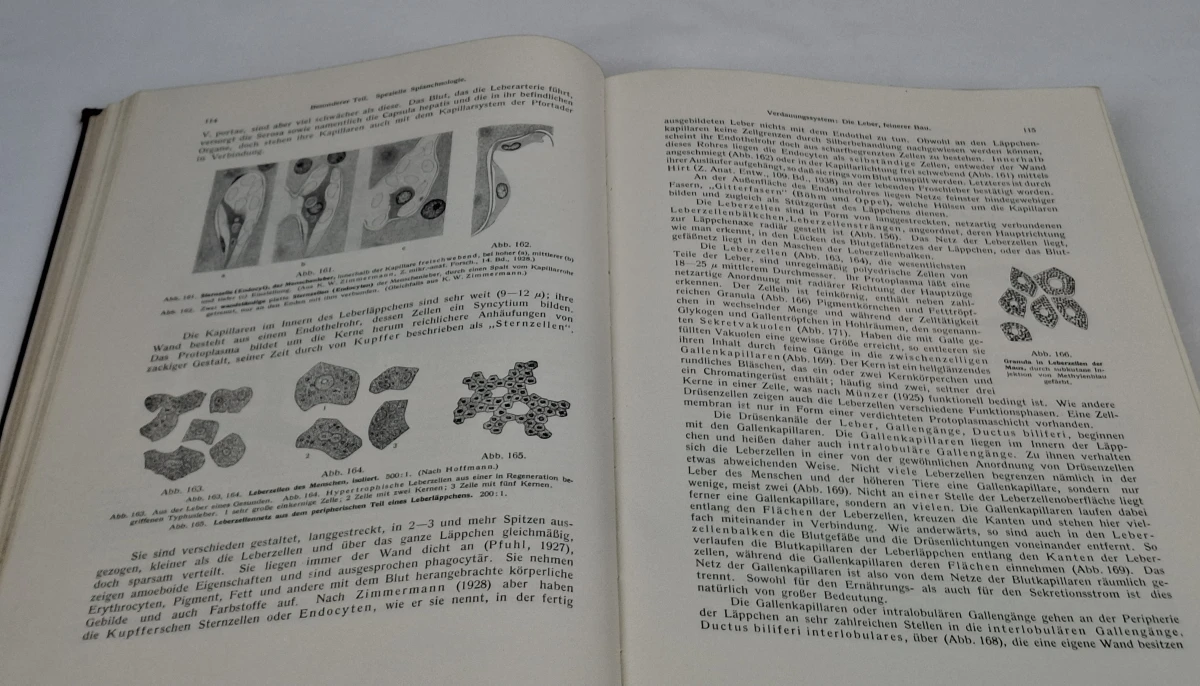 Boek: Rauber-Kopsch - Lehrbuch und Atlas der Anatomie des Menschen, Band II - foto 6