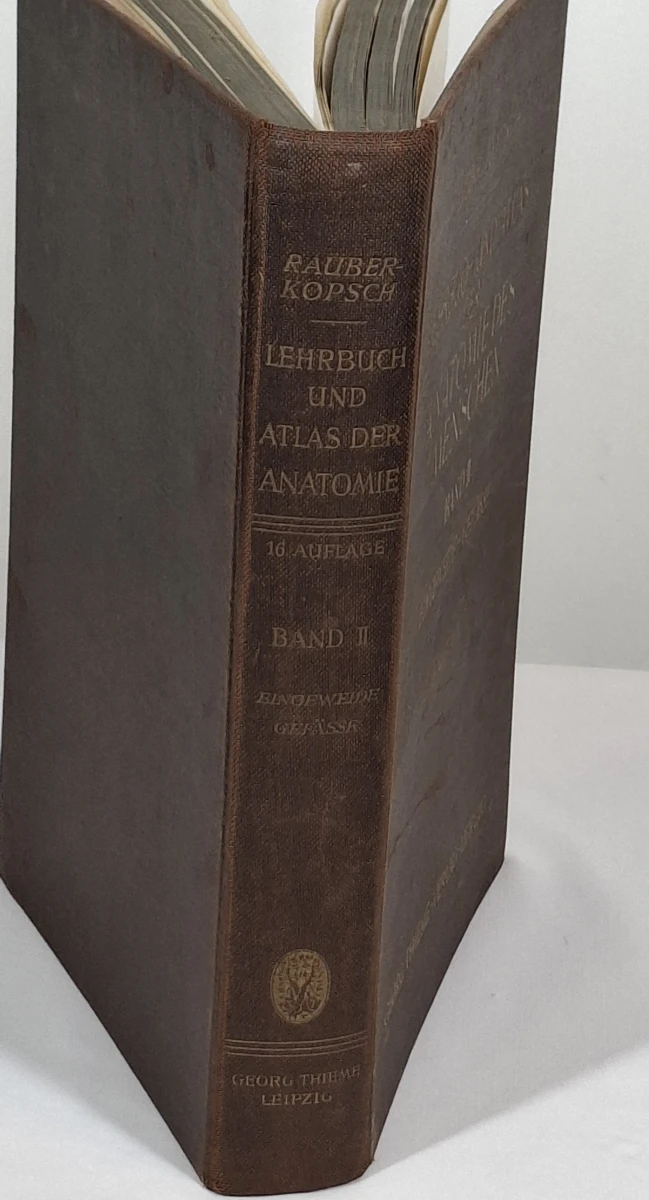 Boek: Rauber-Kopsch - Lehrbuch und Atlas der Anatomie des Menschen, Band II - foto 8