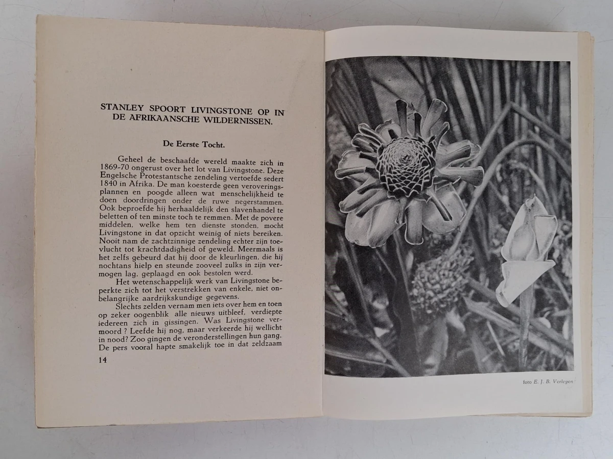 "Congo" door L. Ceunen