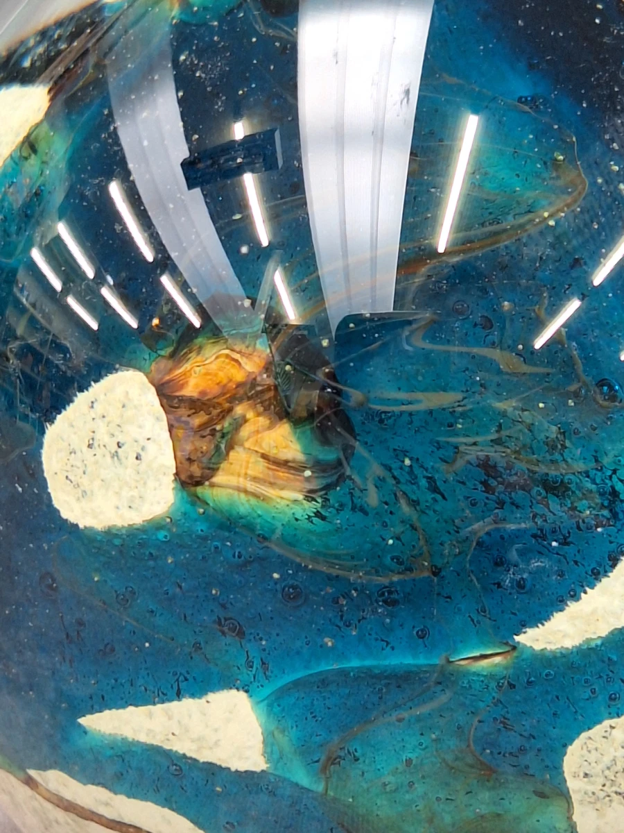 Mdina Glass presse-papier met 'Tiger' patroon - foto 6