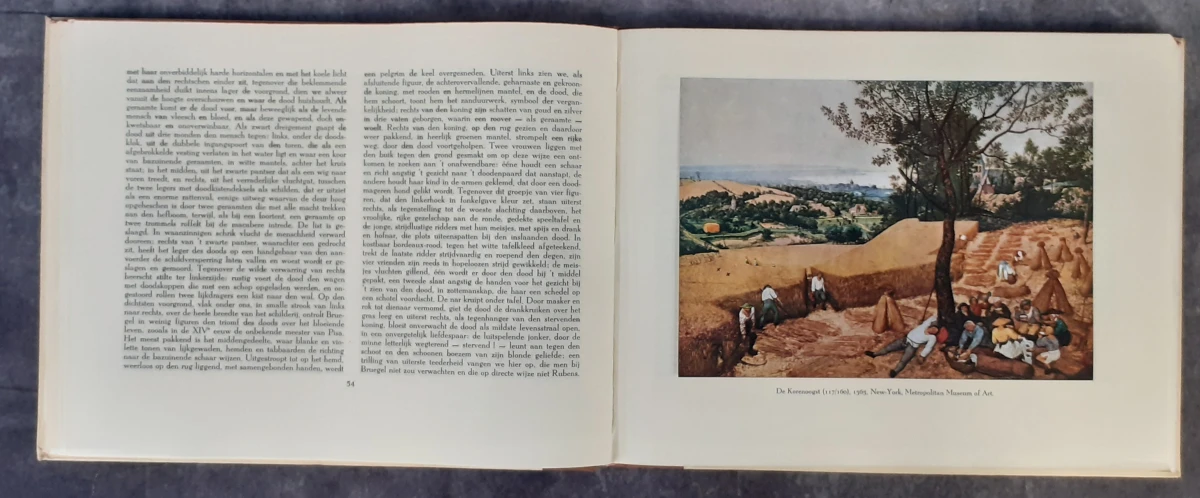 Boek: Duo van Pieter Breugel kunstboeken - foto 10