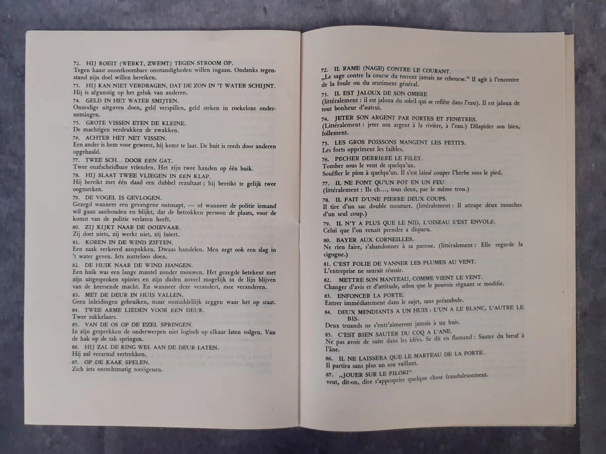 Boek: Duo van Pieter Breugel kunstboeken - foto 6
