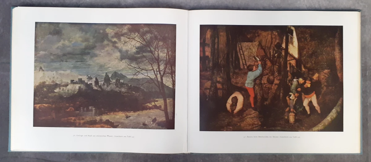 Boek: Duo van Pieter Breugel kunstboeken - foto 19