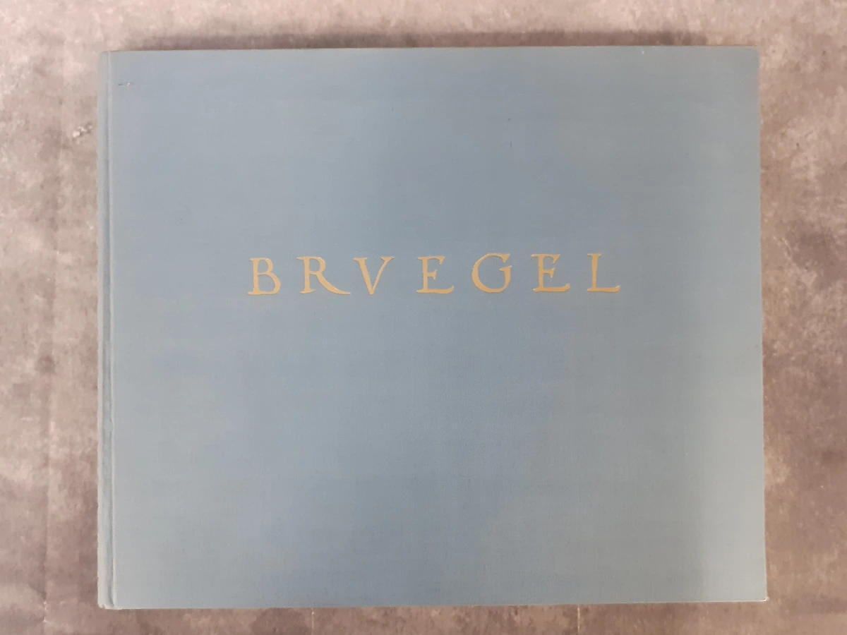 Boek: Duo van Pieter Breugel kunstboeken - foto 14
