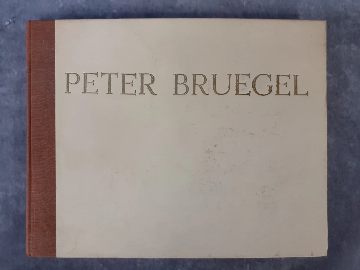 Boek: Duo van Pieter Breugel kunstboeken - foto 2