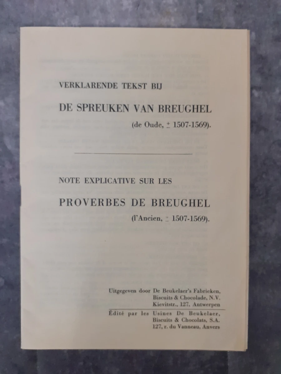 Boek: Duo van Pieter Breugel kunstboeken - foto 4