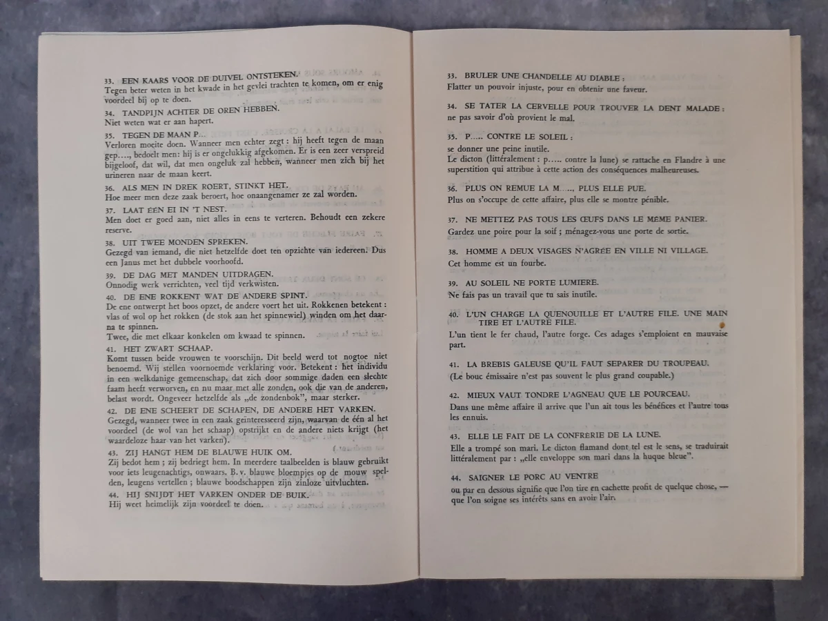 Boek: Duo van Pieter Breugel kunstboeken - foto 5