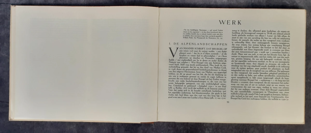 Boek: Duo van Pieter Breugel kunstboeken - foto 9