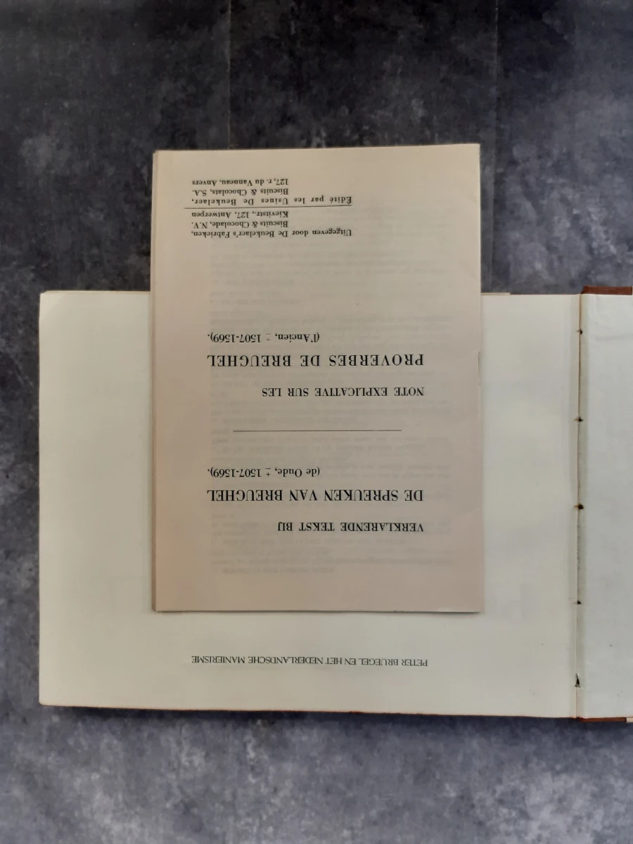 Boek: Duo van Pieter Breugel kunstboeken - foto 3