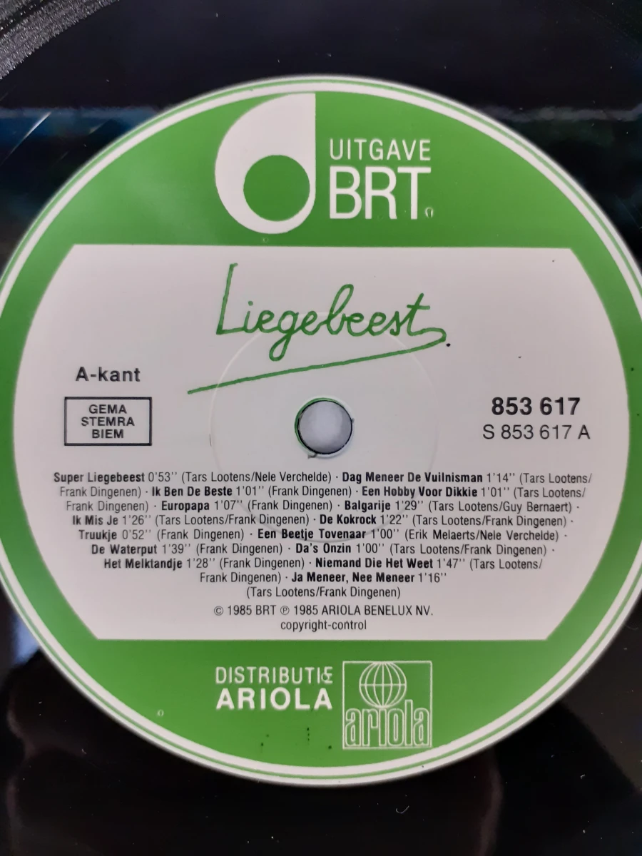 LP Liegebeest + puzzel - foto 4