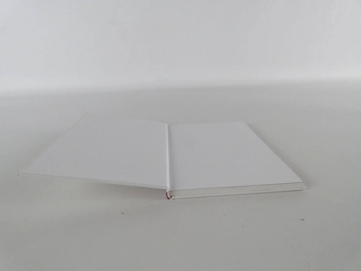 Lot kunstboeken - "Kunstbibliotheek" 10 delen - foto 9