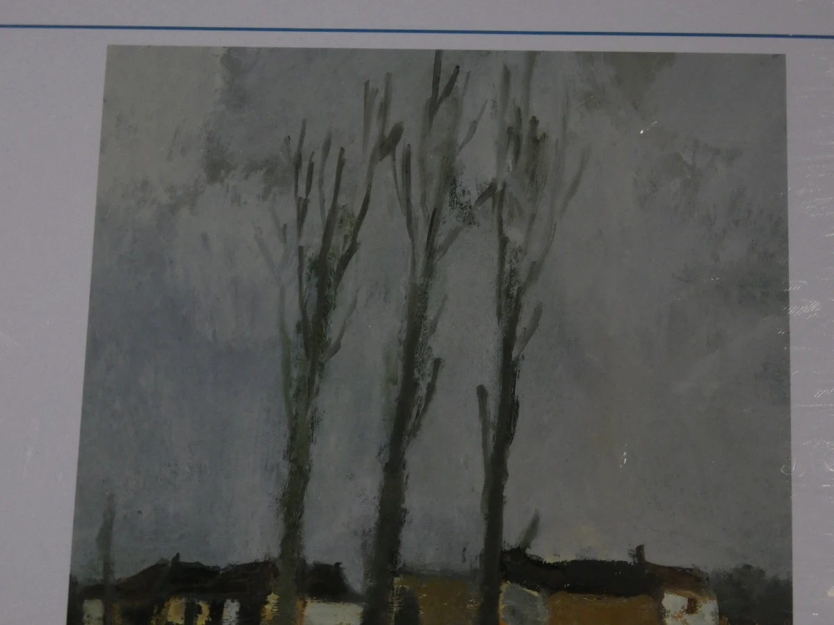 Kunstboek Toon Hermans - foto 5
