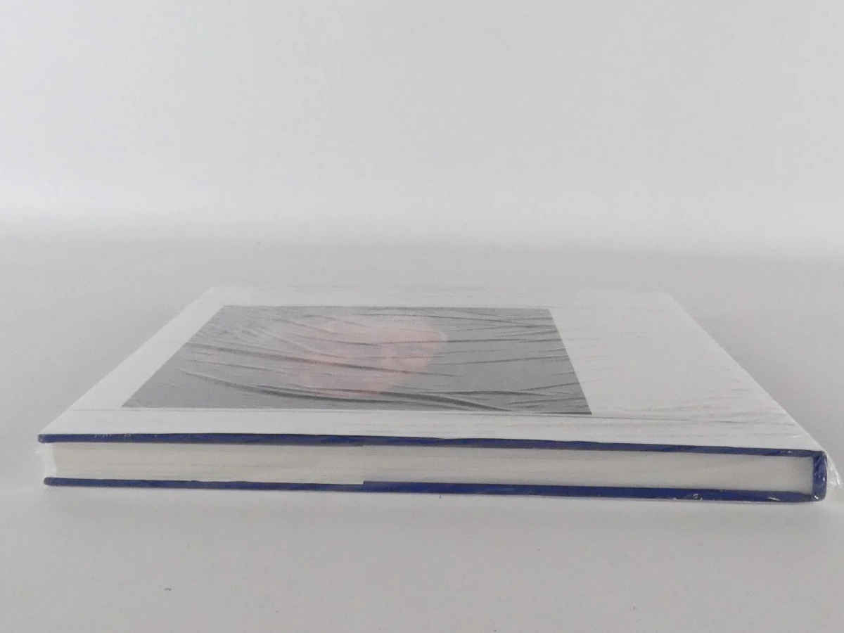Kunstboek Toon Hermans - foto 16
