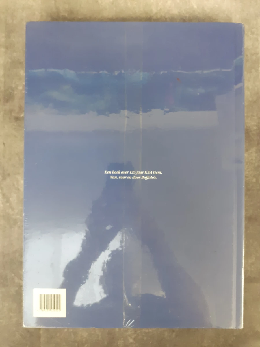 Boek: Buffalo 125 - foto 2