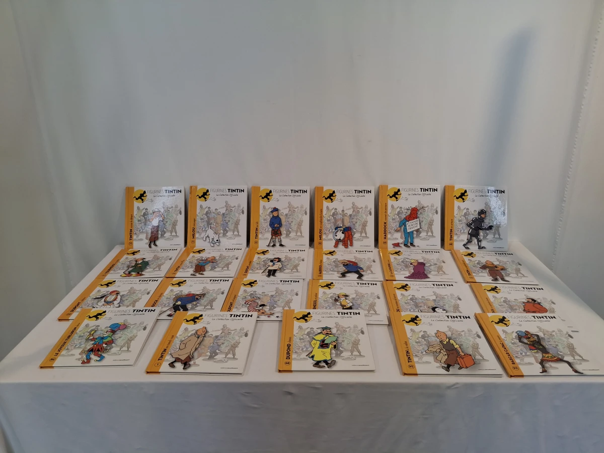 Set van 23 Tintin figurines boekjes - foto 2