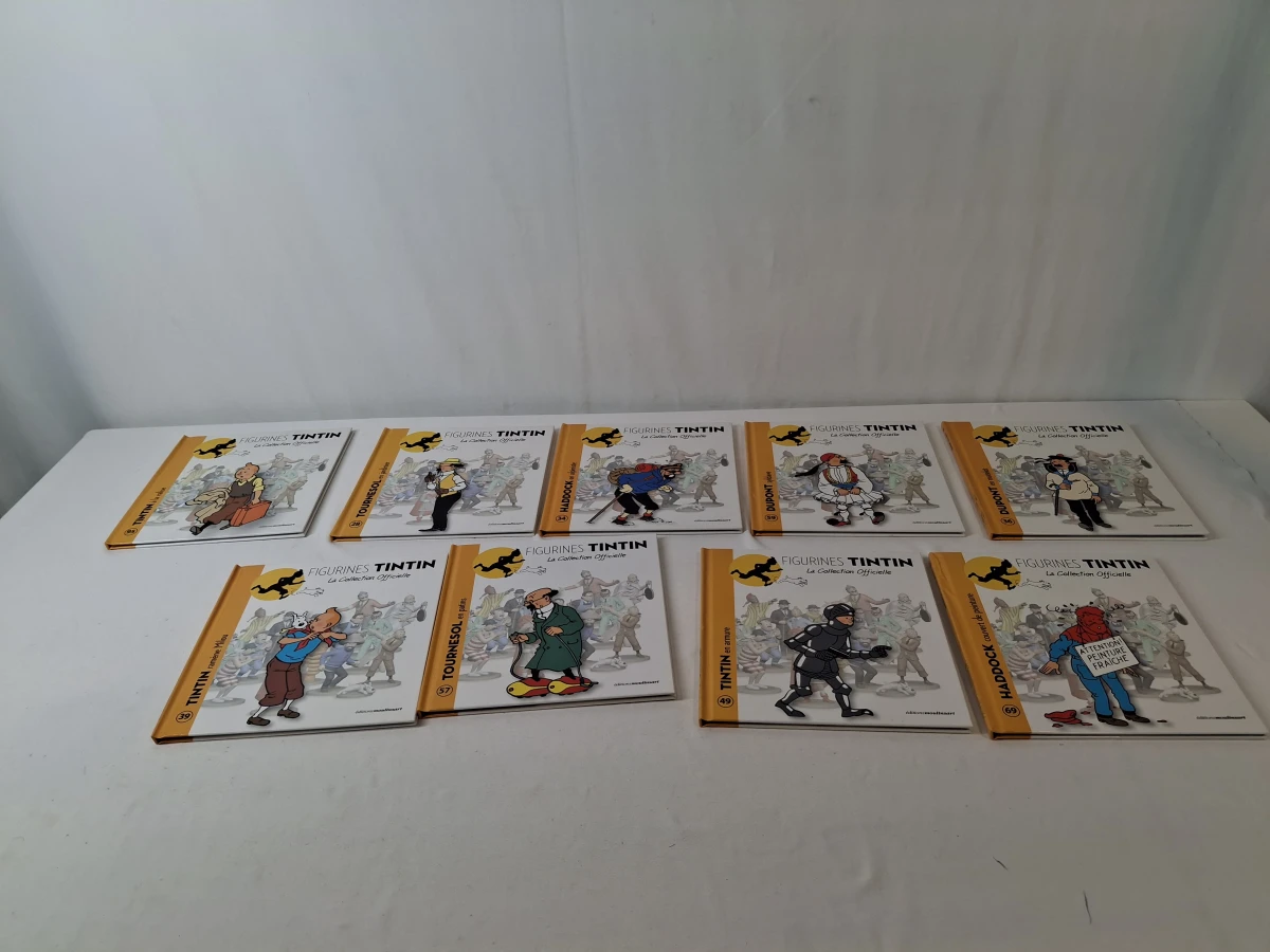 Set van 23 Tintin figurines boekjes - foto 4