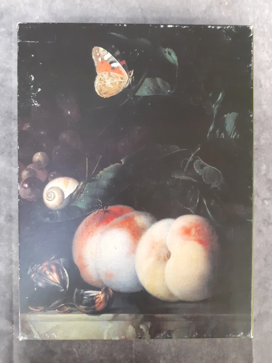 Boek: Vlaamse Schilders en de dageraad van Hollands Gouden Eeuwen - foto 8