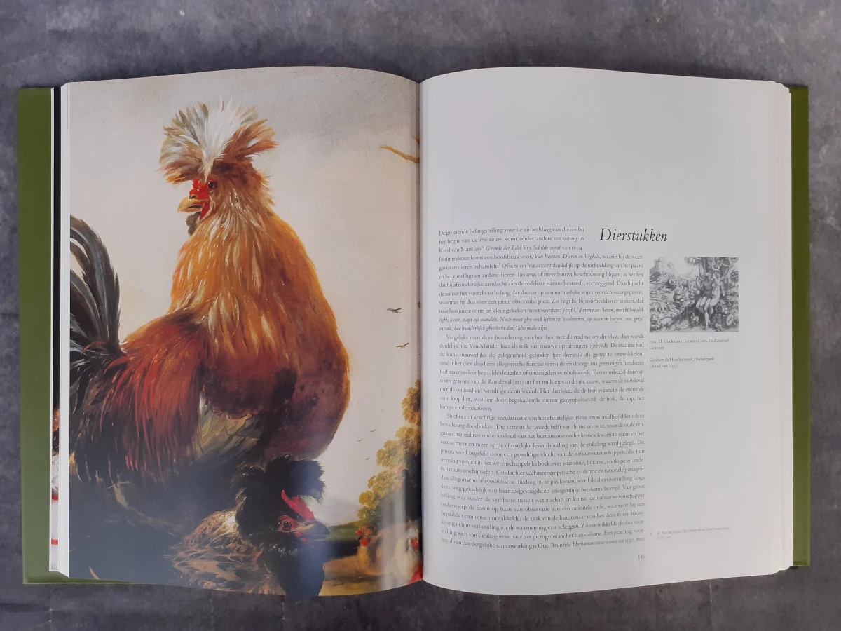 Boek: Vlaamse Schilders en de dageraad van Hollands Gouden Eeuwen - foto 4