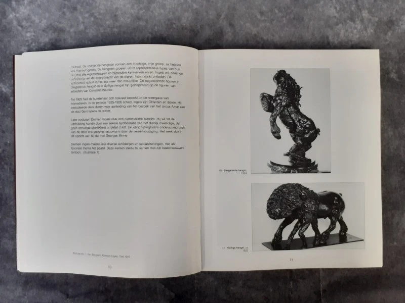 Boek: Groeten uit 1926: De kunstscène te Gent anno 1926 - foto 2