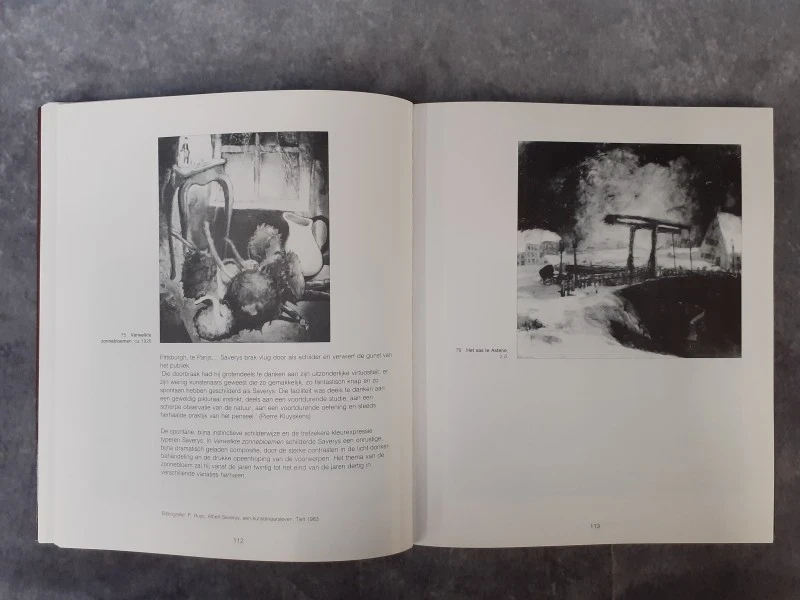 Boek: Groeten uit 1926: De kunstscène te Gent anno 1926 - foto 5