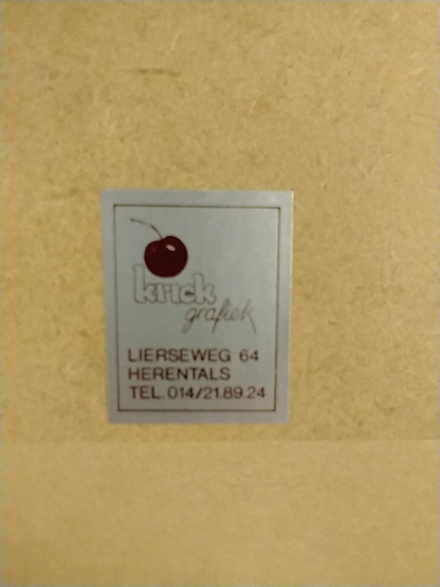 Set van 2 ingelijste portrettekeningen van oudere mensen - foto 3
