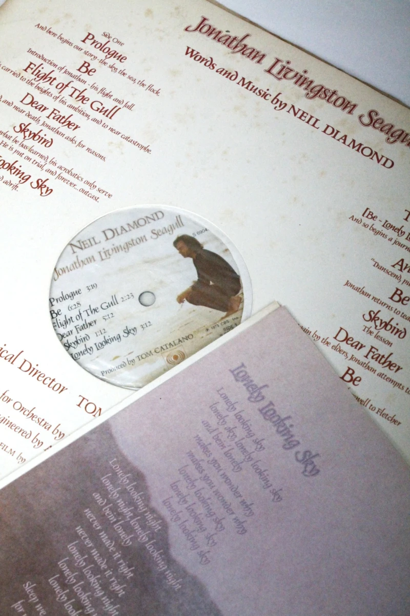 LP Neil Diamond - Jonathan Livingston Seagull soundtrack - foto 7