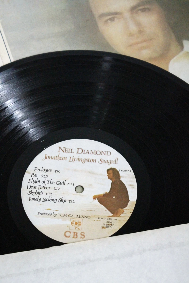 LP Neil Diamond - Jonathan Livingston Seagull soundtrack - foto 6