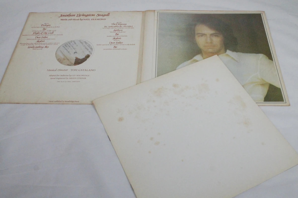 LP Neil Diamond - Jonathan Livingston Seagull soundtrack - foto 4