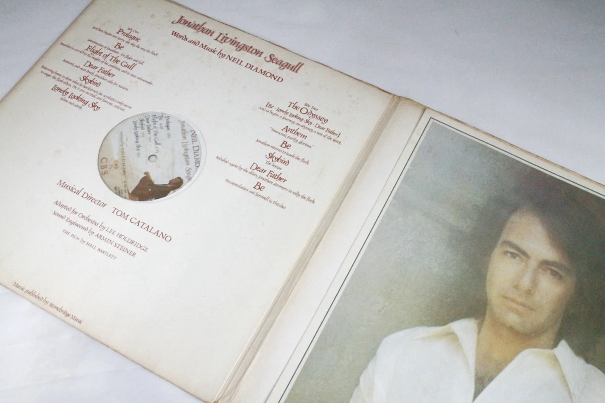 LP Neil Diamond - Jonathan Livingston Seagull soundtrack - foto 3