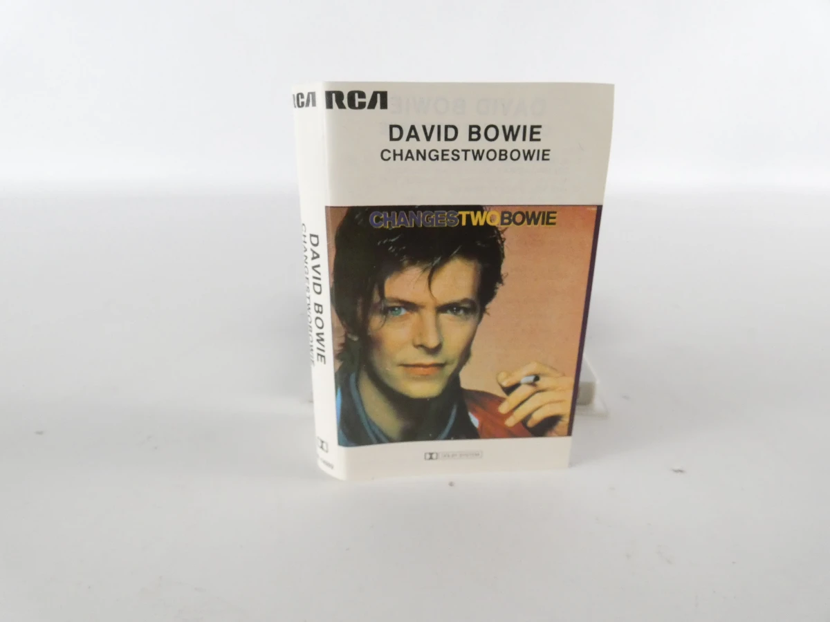 Twee iconische vintage muziekcassettes - David Bowie & Blondie - foto 15