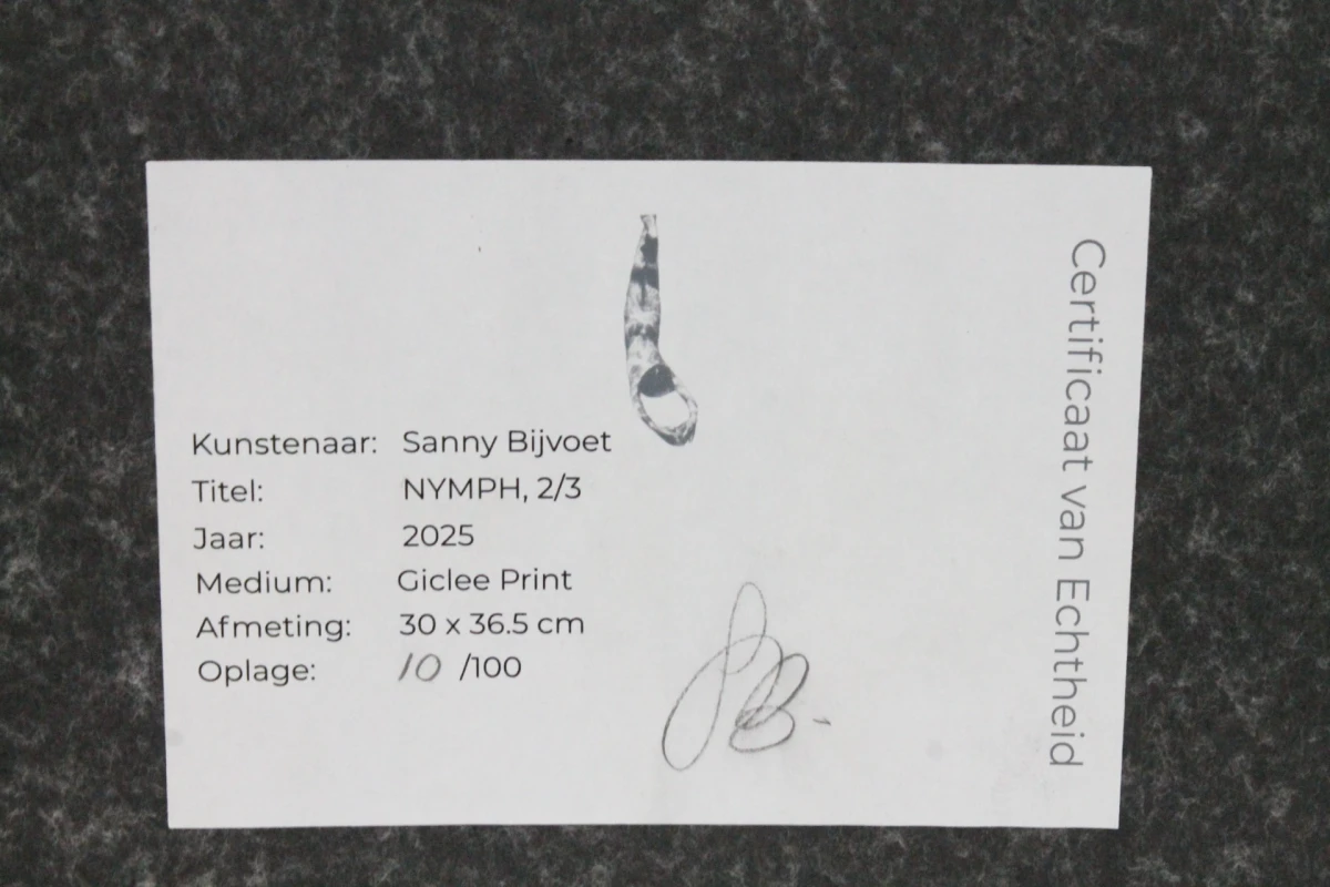 Genummerde Giclée-print Sanny Bijvoet - foto 5