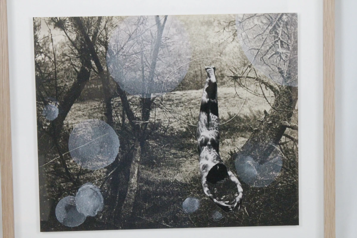 Genummerde Giclée-print Sanny Bijvoet - foto 2