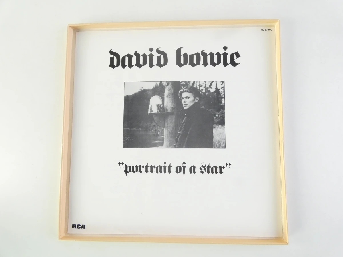 David Bowie - Portrait of a Star (LP) - foto 8