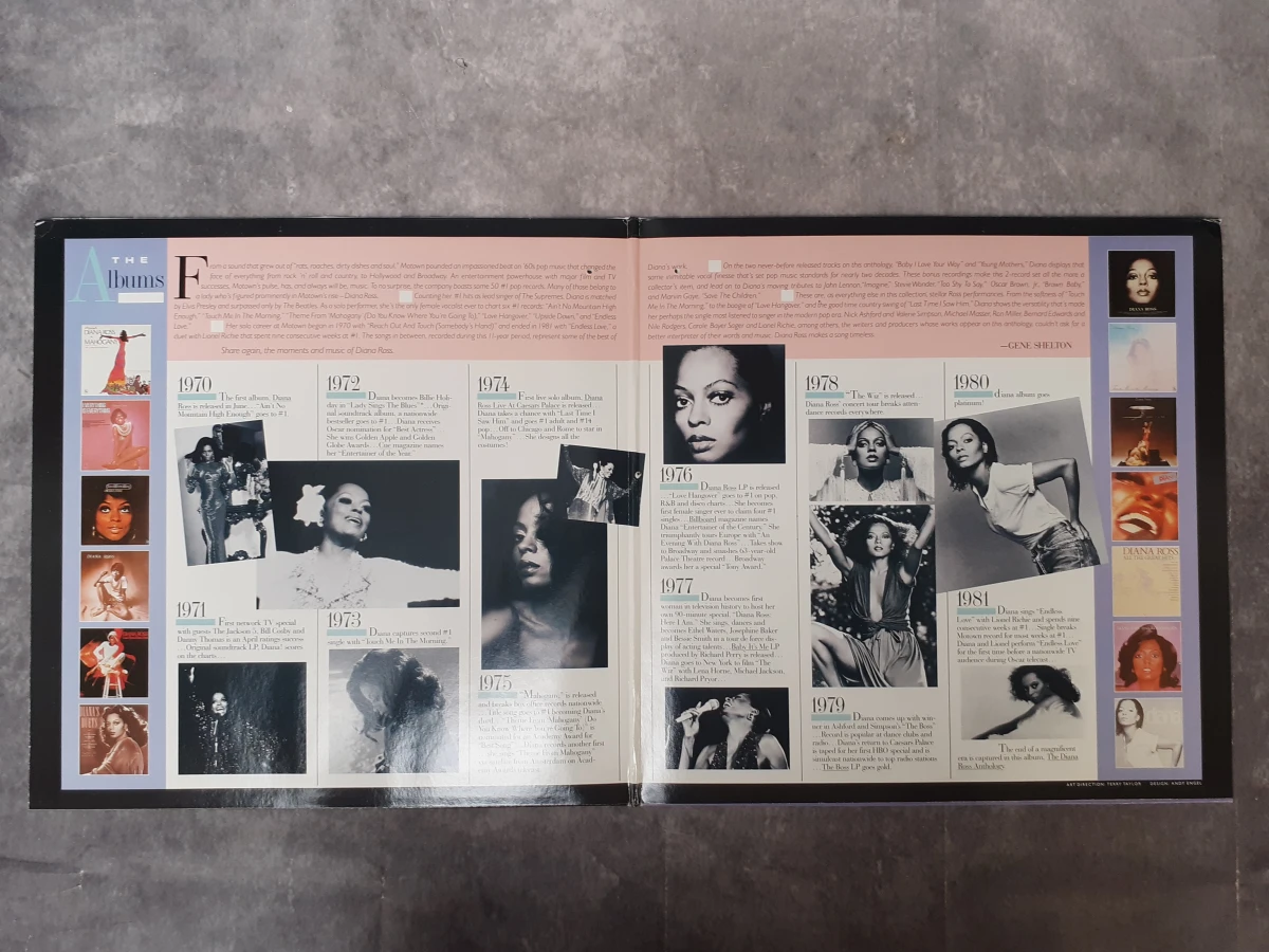 Vinyl: Duo van Diana Ross albums - foto 8