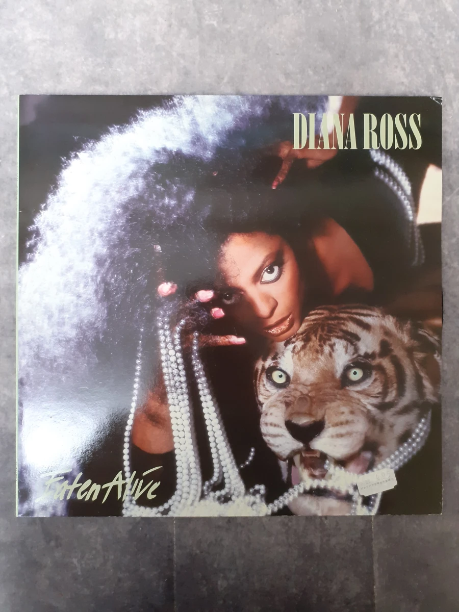 Vinyl: Duo van Diana Ross albums - foto 2