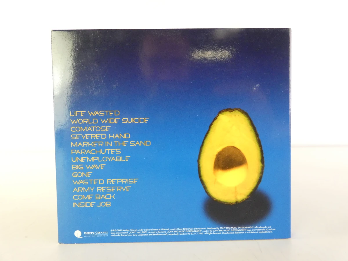 Pearl Jam CD collectie met diverse albums(13 CD) - foto 13