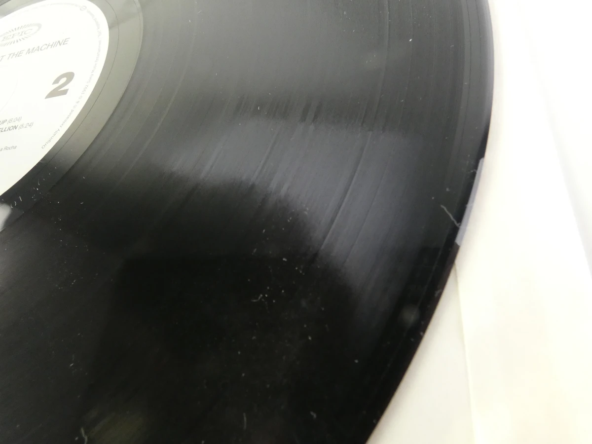 Rage Against The Machine - Rage Against The Machine (LP) - foto 12