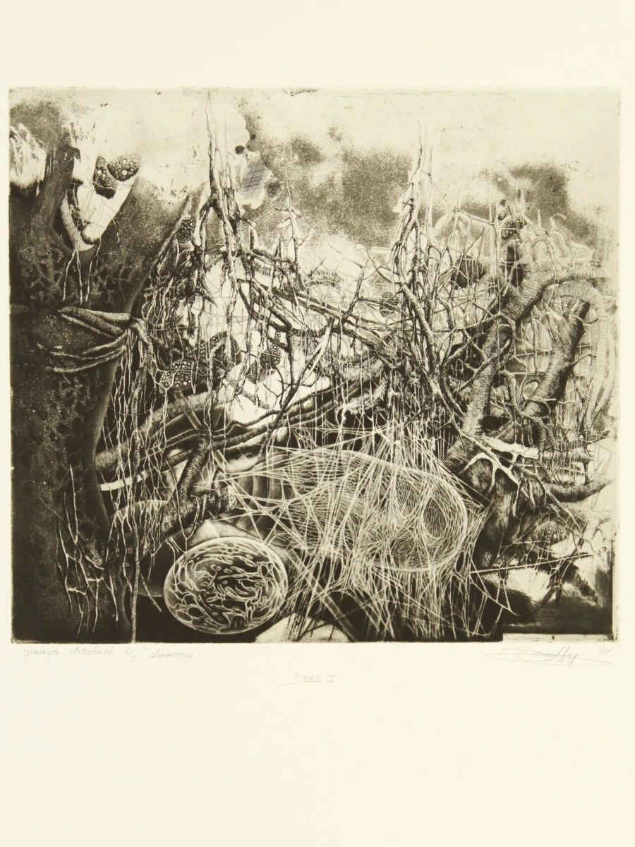 Hugo Bésard (°1955) grafische reeks A/E  "Het vijfde seizoen" 1984 - foto 4