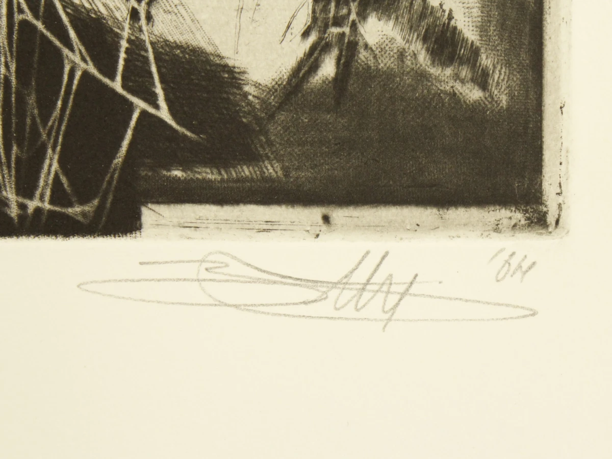 Hugo Bésard (°1955) grafische reeks A/E  "Het vijfde seizoen" 1984 - foto 5