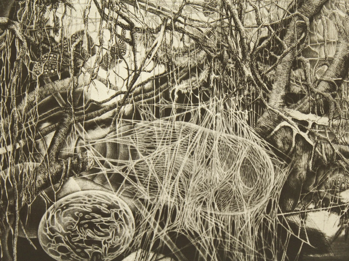 Hugo Bésard (°1955) grafische reeks A/E  "Het vijfde seizoen" 1984 - foto 7